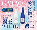 【特別限定純米大吟醸】潟王セット